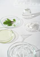 natuurlijke cosmetische ingrediënten, groene bladeren, kleipoeder en petrischalen op een laboratoriumtafel. gezichtsverzorgingsproducten maken en testen in het laboratorium. verticaal schot. foto