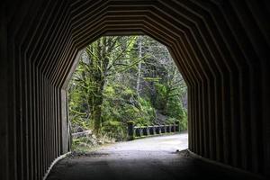 oneonta tunnel