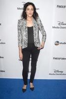 los angeles 21 mei - sandrine holt op de 2017 abc disney media distribution international upfront in de walt disney studio's op 21 mei 2017 in burbank, ca foto