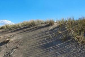 kust kust aan de Noordzee in nederland foto