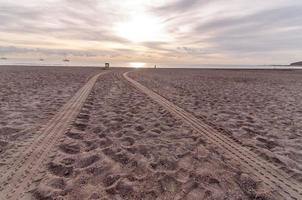 wielsporen in het zand foto