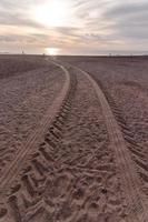 wielsporen in het zand foto