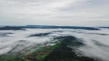 bergen met bomen en mist in thailand foto