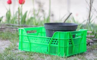 plastic lege groene doos in de tuin voor planten of oogsten. op een zonnige dag in het vroege voorjaar. tuinieren concept. huishoudelijke gewasverzameling en opbergdoos in de achtertuin. foto