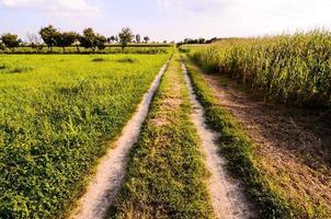 landelijke onverharde weg foto