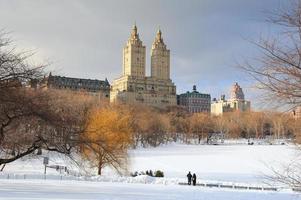 het centrale park van New York City Manhattan in de winter foto