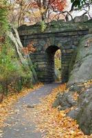 new york city central park foto