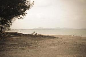 landschap van het strand met zeedennen aan de linkerkant van de foto, filmtonen. foto