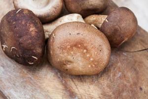 shiitake-paddenstoelen op houtachtergrond foto