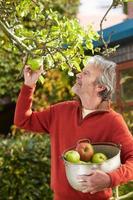 volwassen man appels plukken van boom in de tuin