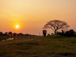 prachtige zonsondergang over het veld foto