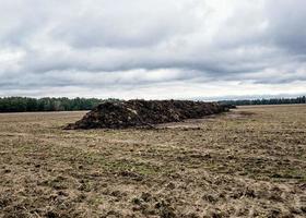 natuurlijke mest agro biobemesting foto