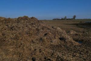 donkerbruine humus op bosgrondachtergrond foto