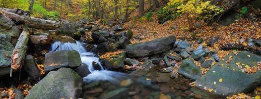 herfst kreek panorama foto