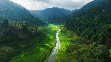 luchtfoto van prachtige natuurlijke waterstroom en groen grasveld in het wilde bos bergconcept reizen en ontspannen op vakantie. foto