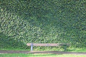 oude houten bank met groene jasknopen muur. foto