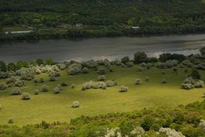 fotografie met prachtige natuur uit Moldavië in de zomer. landschap in europa. foto