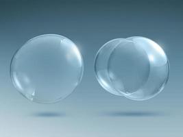 transparante zeep- of waterbellen foto
