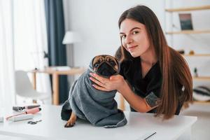 in grijs gekleurde handdoek. pug is in de trimsalon met dierenarts die in zwarte kleding is foto