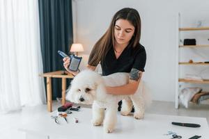 pluizig haar. schattige kleine hond is in de trimstudio foto