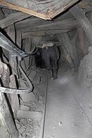 mijnwerkers baant zich een weg door een gevaarlijk onstabiele schacht in de berg cerro rico. foto