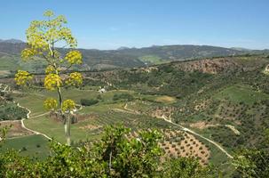 ronda, andalusië, spanje, 2014. uitzicht op het platteland vanaf ronda spanje foto