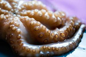 octopus tentakels close-up foto
