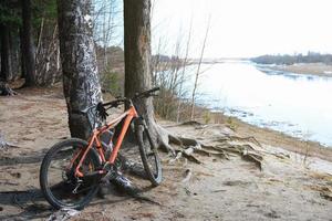 fiets staande in de buurt van boom. actief levensstijlconcept. foto