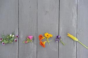 eetbare bloemen op oude grijze tafel. foto