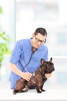 mannelijke dierenarts die een hond in het ziekenhuis onderzoekt foto