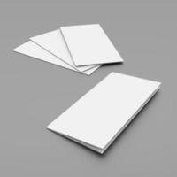 blanco folders of brochures