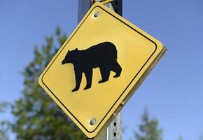 beer kruising teken op de weg