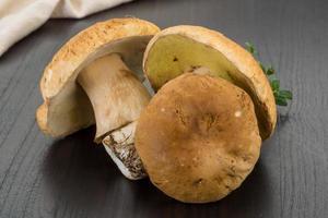 boletus paddestoel schotel foto