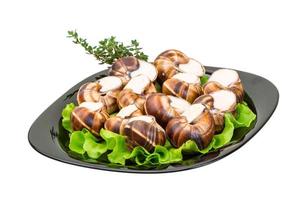 escargotslakken op een bord met sla foto