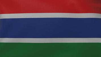 Gambia vlag textuur foto