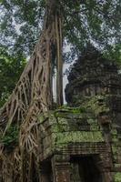 angkor wat complex foto