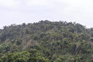 chinese jungle, eiland hainan foto