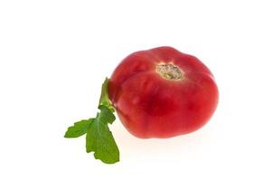 tomaat geïsoleerd op een witte achtergrond foto