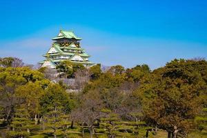 japans, toeristen, reizigers liepen in maart 2018 rond in het kasteel van osaka met een droge boom rond, oaska, japan. foto