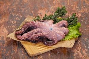 rauwe octopus klaar om te koken foto