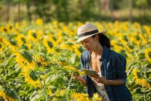 agronoom met een tablet in zijn handen werkt in het veld met zonnebloemen. online verkopen. het meisje werkt in het veld en doet de analyse van de groei van plantencultuur. moderne technologie. landbouwconcept. foto