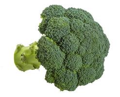 broccoli op wit foto