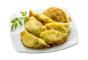 Japanse knoedels - gyoza foto