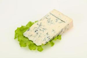 Italiaanse traditionele gorgonzola kaas geïsoleerd foto