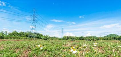 hoogspanningspaal met natuur, grasland en blauwe lucht foto