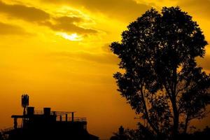 gouden tropische zonsondergang met silhouetboom. foto