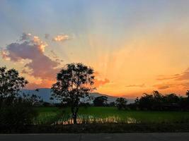 vervagen bomen en velden bij zonsondergang. foto