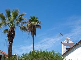 het spaanse eiland tenerife foto