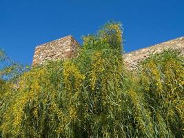 Malaga in spanje foto