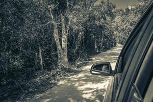 rijden op onverharde pad weg in tulum jungle natuur mexico. foto